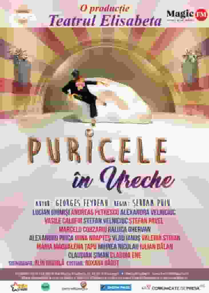 Puricele în ureche