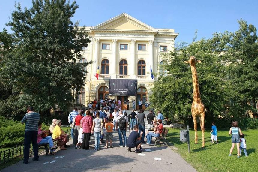 Cover Top 5 Muzee Interesante pentru Copii în București