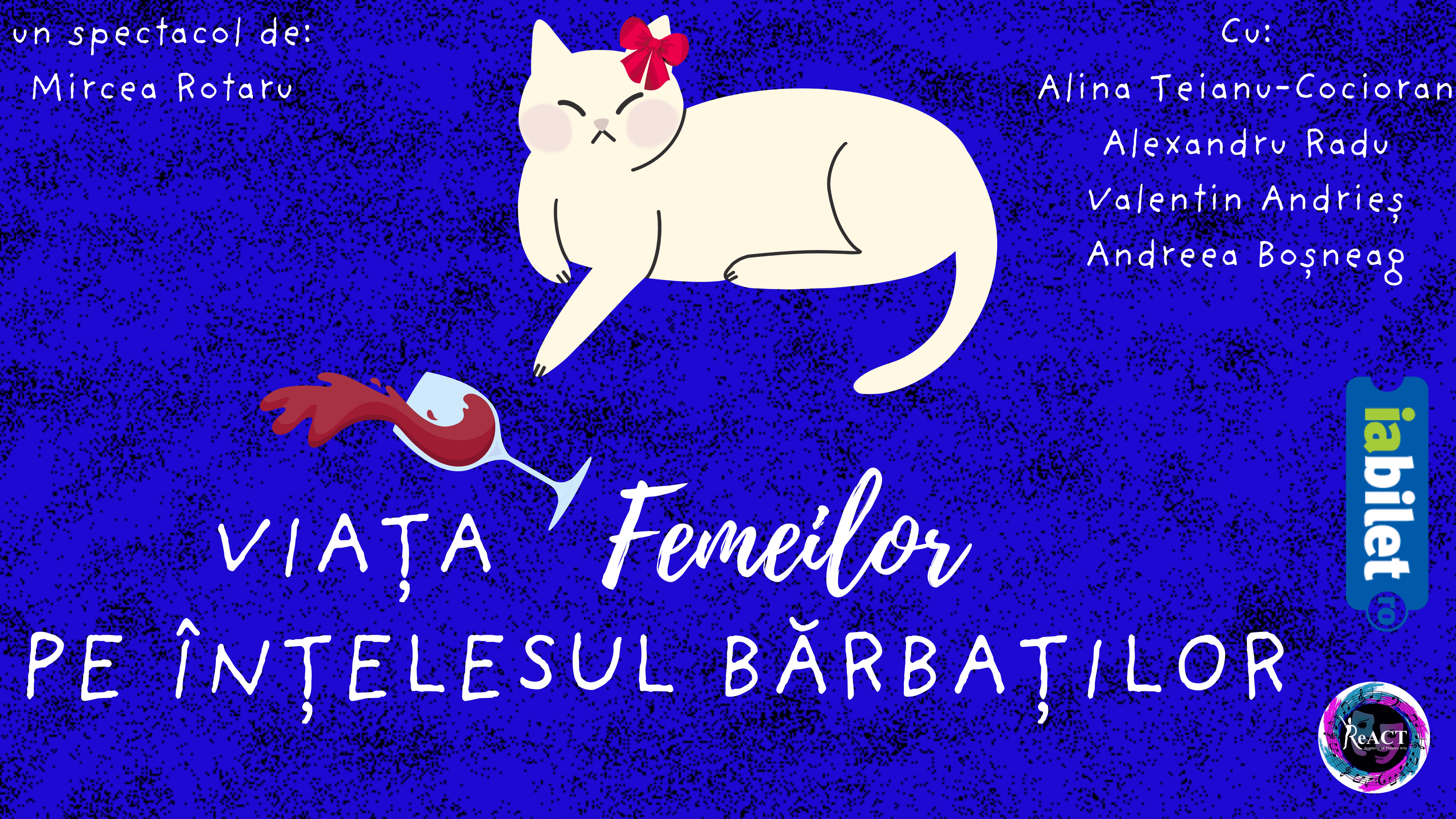 Afiș pentru Viata femeilor pe înțelesul bărbaților