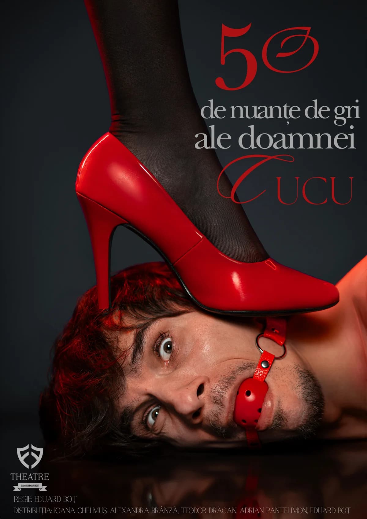 Afiș pentru 50 de nuanțe de gri ale doamnei Cucu