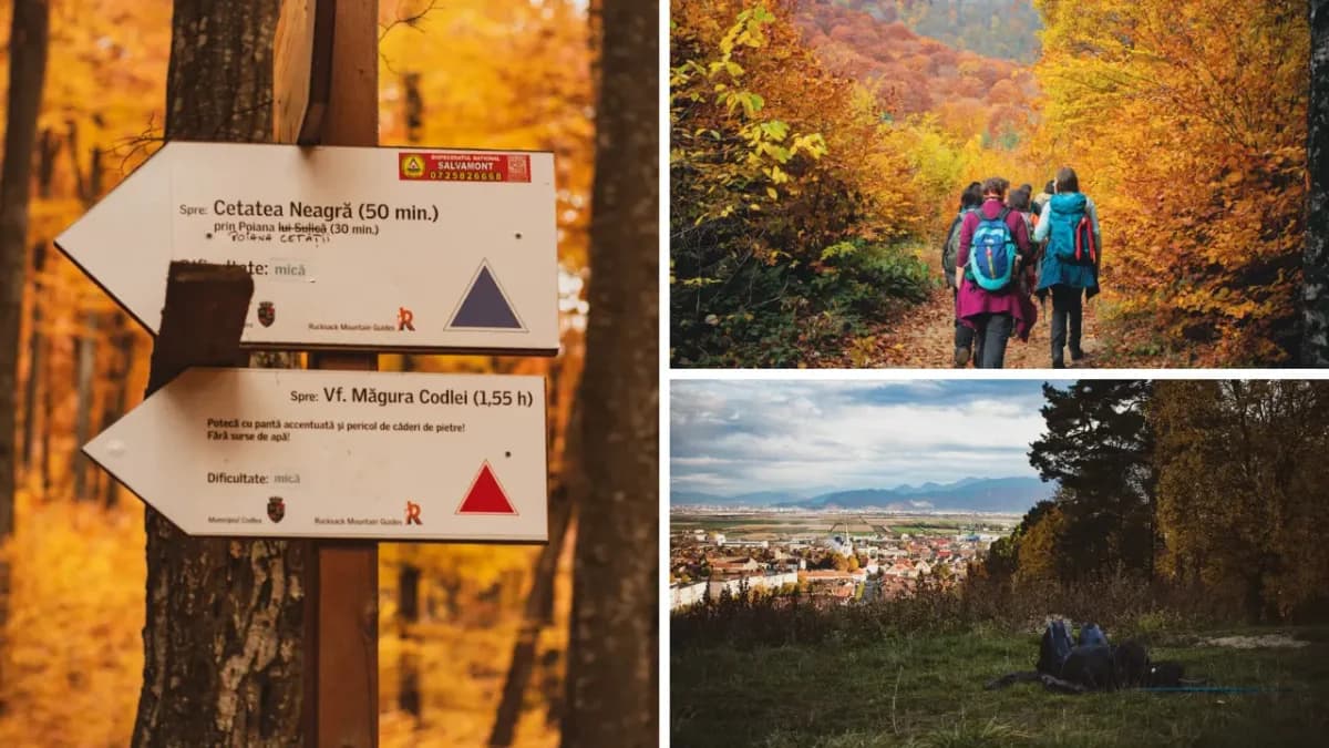 Afiș pentru Peisaj de toamnă pe Măgura Codlei #9
