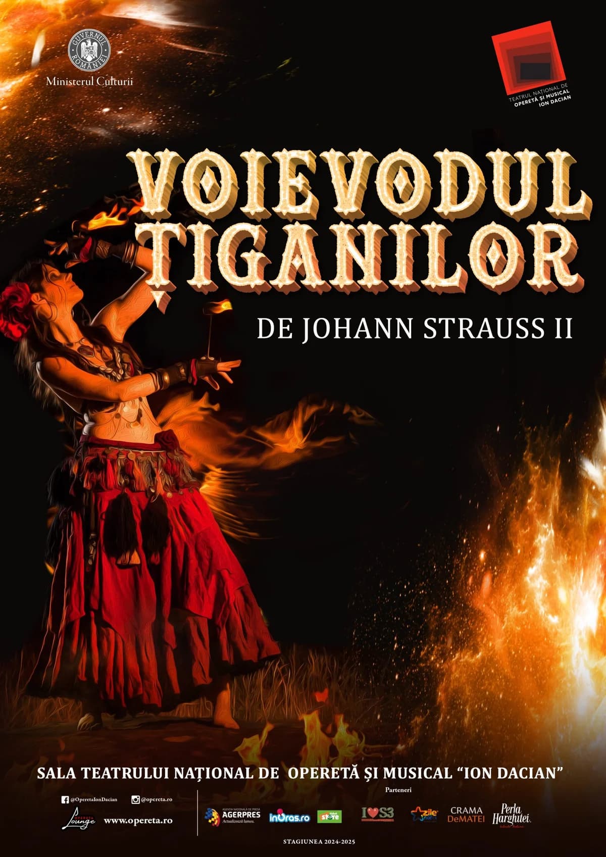 Afiș pentru Voievodul Țiganilor