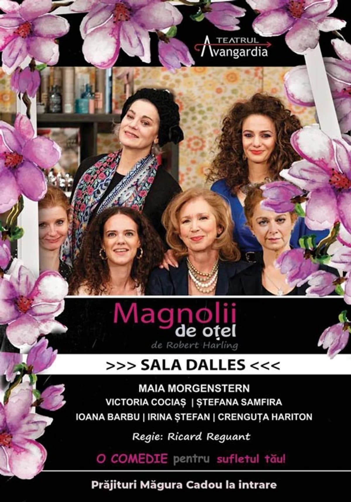 Afiș pentru Magnolii de oțel