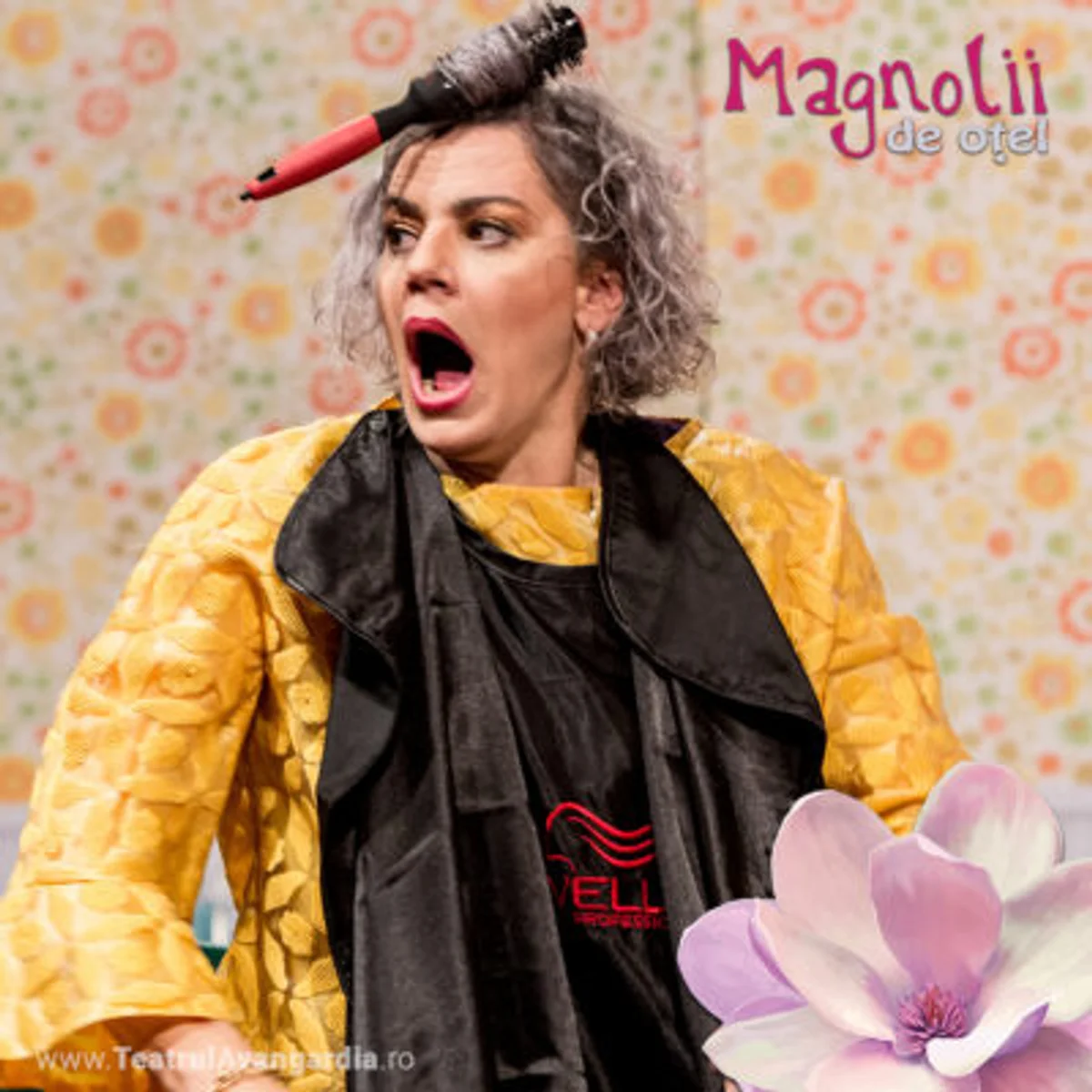 Afiș pentru Magnolii de oțel