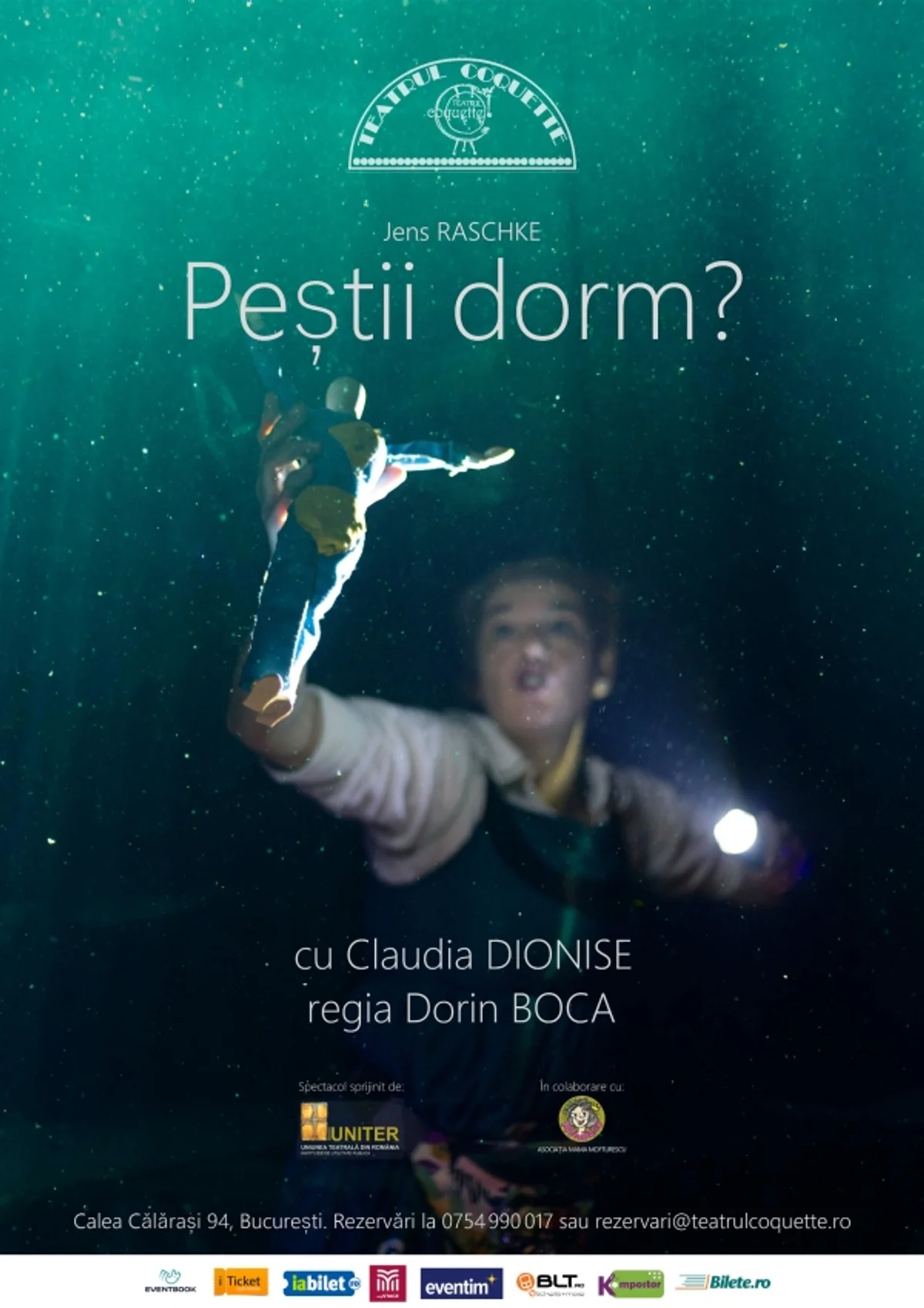 Afiș pentru Peștii dorm?