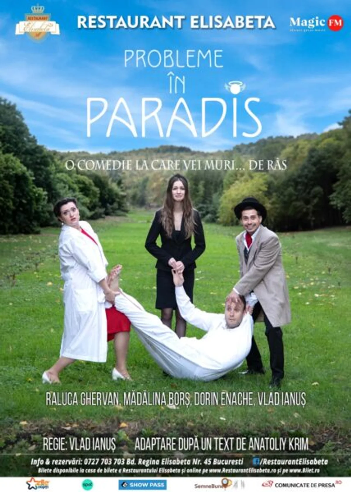 Afiș pentru Probleme în Paradis