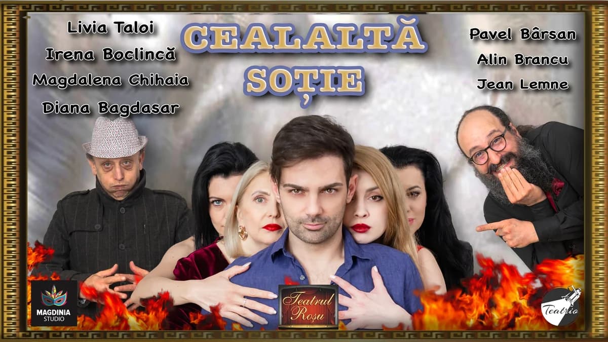 Afiș pentru Cealaltă soție