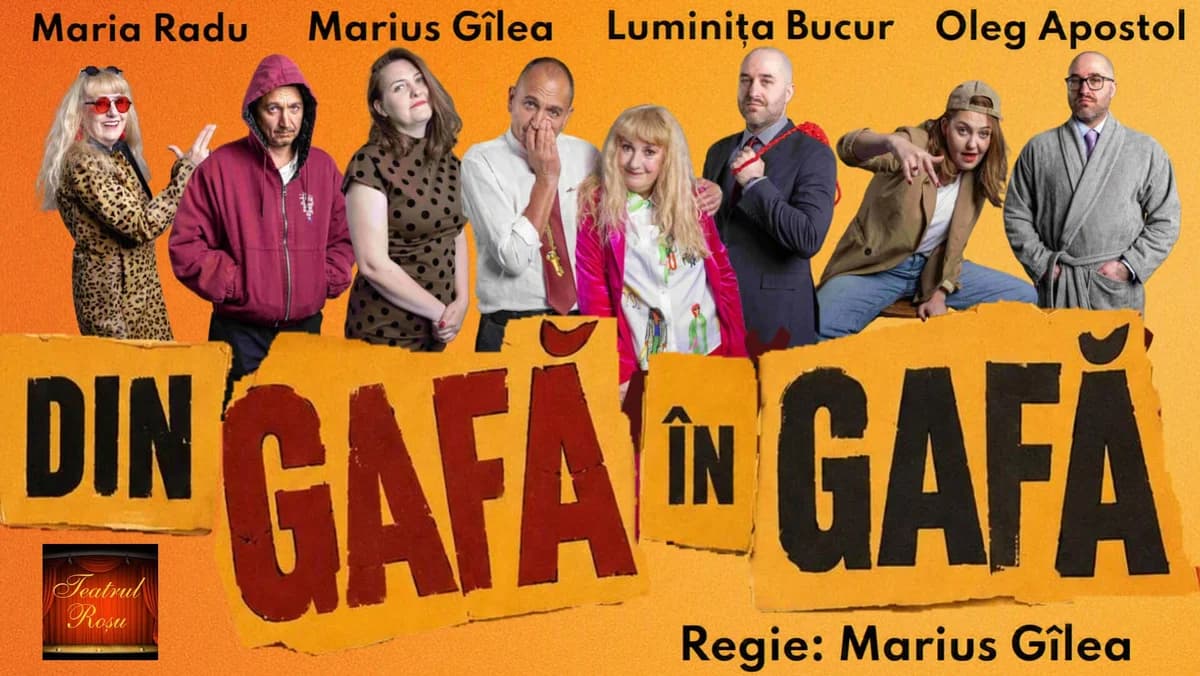 Afiș pentru Din gafă în gafă