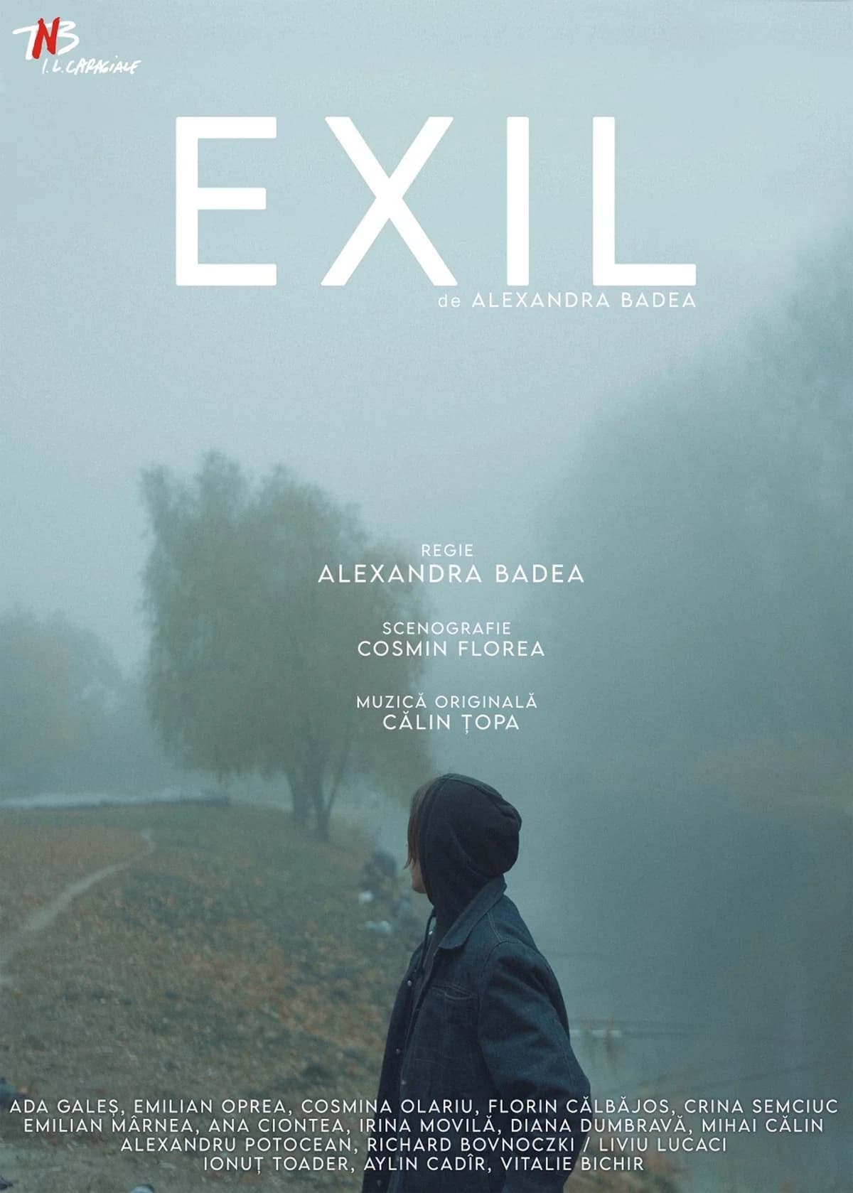 Afiș pentru Exil