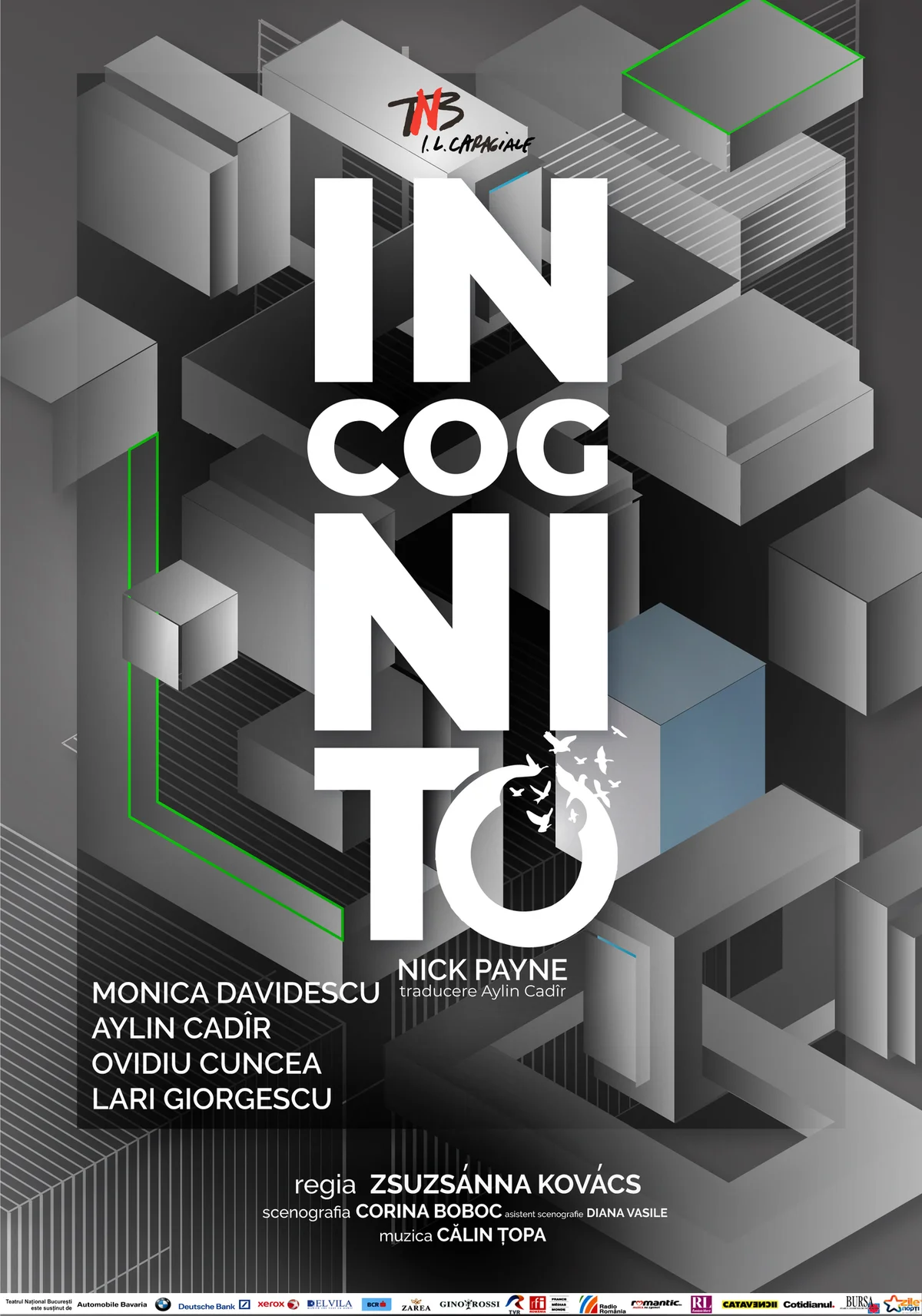 Afiș pentru Incognito